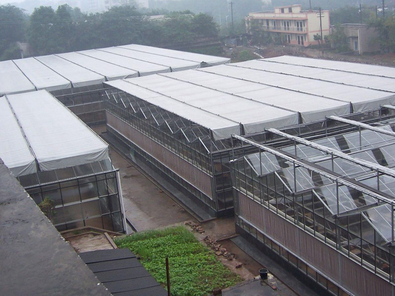 陽光板溫室