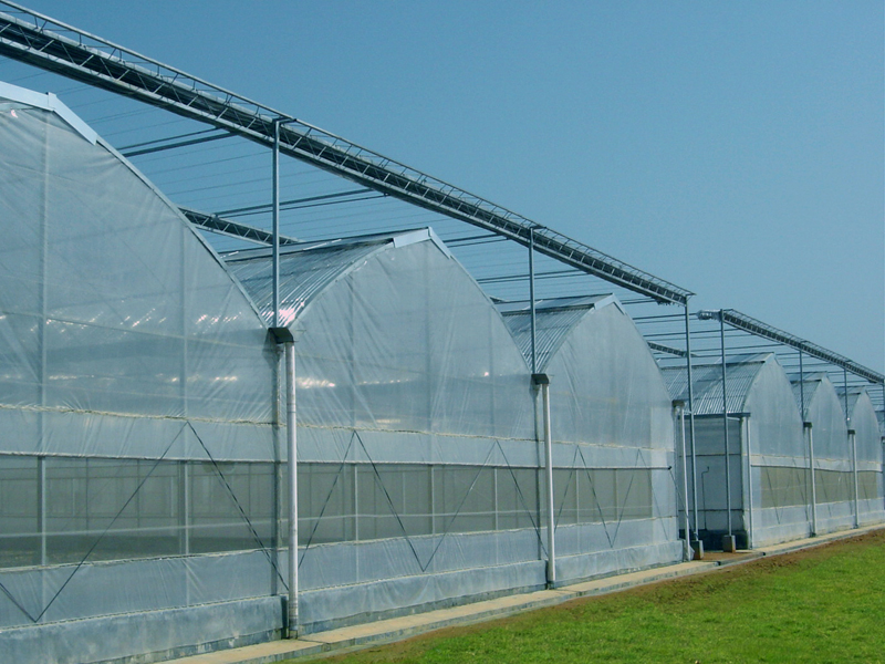 薄膜連棟溫室
