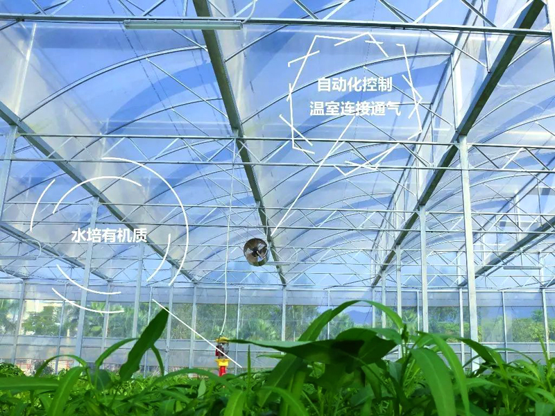 溫室大棚--未來農業發展的主力軍